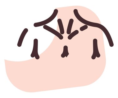 İnsan köprücük kemiği, illüstrasyon, beyaz arkaplandaki vektör..