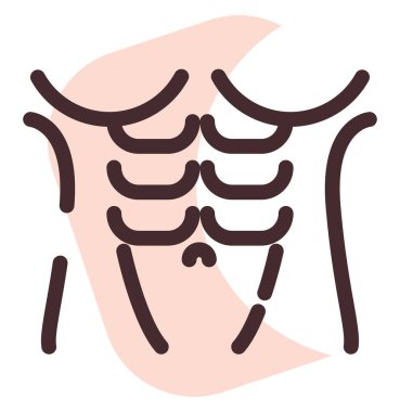 Karın kasları, illüstrasyon, beyaz arkaplandaki vektör..