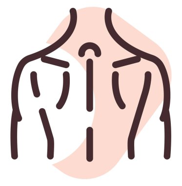 Sırt kasları, illüstrasyon, beyaz arkaplandaki vektör.