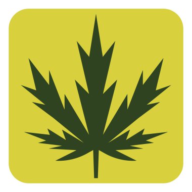 Beyaz zemin üzerinde esrar yaprağı, illüstrasyon, vektör.