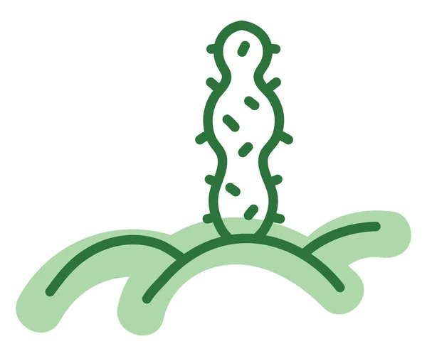Cactus San Pedro Ilustración Vector Sobre Fondo Blanco — Vector de stock
