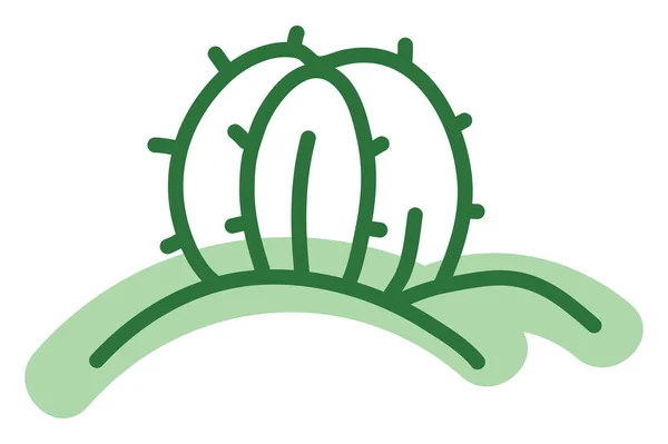 Parodia Cactus Illustration Vecteur Sur Fond Blanc — Image vectorielle