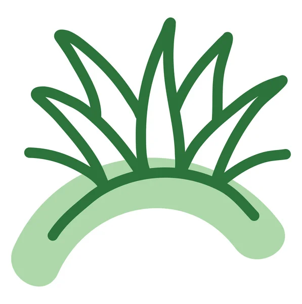 濃い緑色の多肉植物イラスト白い背景のベクトル — ストックベクタ