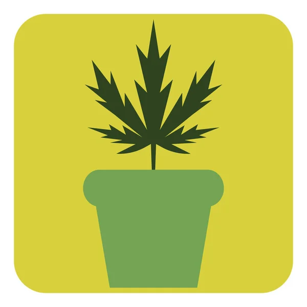 Plante Cannabis Pot Illustration Vecteur Sur Fond Blanc — Image vectorielle