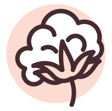 Pamuk bitkisi, illüstrasyon, beyaz arkaplan üzerindeki vektör.