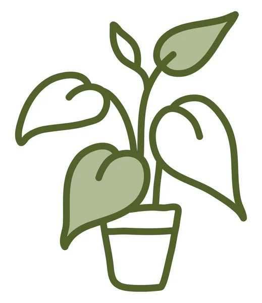 Dieffenbachia Pot Illustration Vektör White Background — Stok Vektör