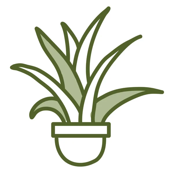 Aloe Edényben Illusztráció Vektor Fehér Alapon — Stock Vector
