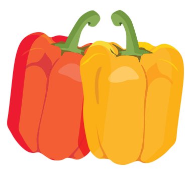 Çan biberi, illüstrasyon, beyaz arkaplandaki vektör.