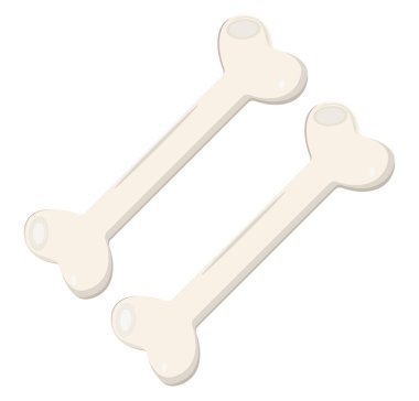İki kemik, illüstrasyon, beyaz arkaplanda vektör..