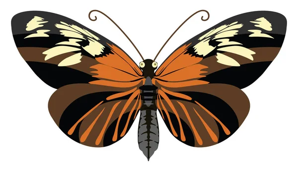 Joli Papillon Illustration Vecteur Sur Fond Blanc — Image vectorielle
