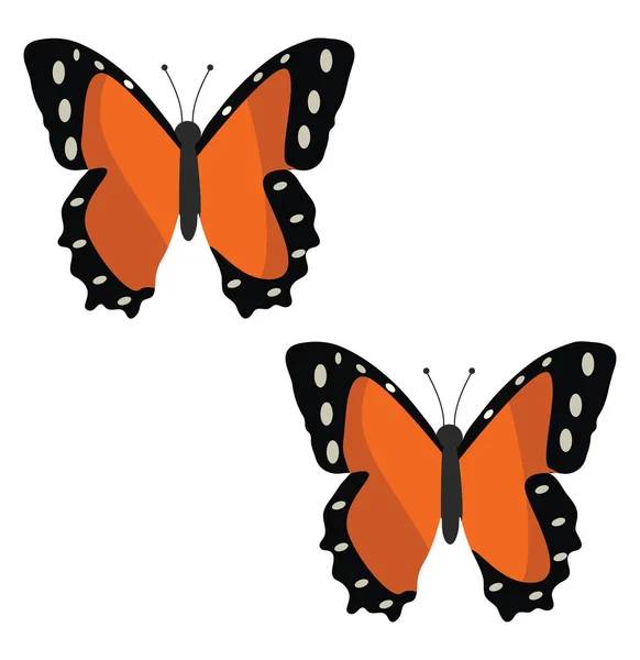 Twee Bruine Vlinders Illustratie Vector Een Witte Achtergrond — Stockvector