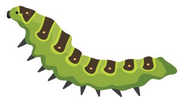 Yeşil tırtıl, illüstrasyon, beyaz arka planda vektör..