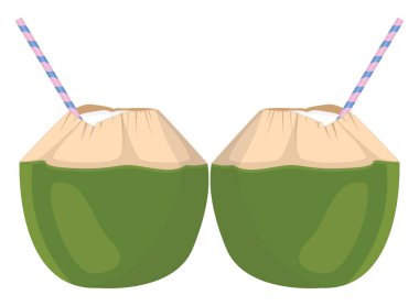 Hindistan cevizi suyu, illüstrasyon, beyaz arkaplandaki vektör.