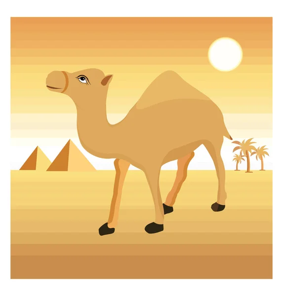Верблюд Пустыне Иллюстрация Вектор Белом Фоне — стоковый вектор