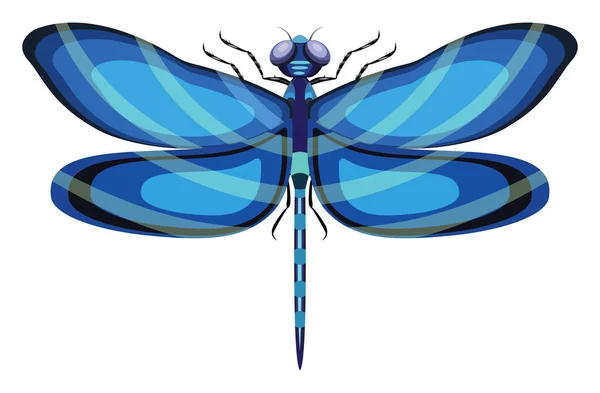 Blue Dragonfly Illustration Vector White Background — Stock Vector