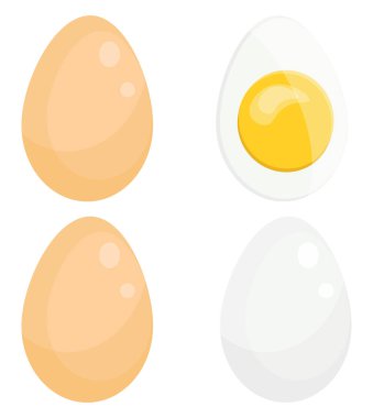 İki haşlanmış yumurta, illüstrasyon, beyaz arka planda vektör..
