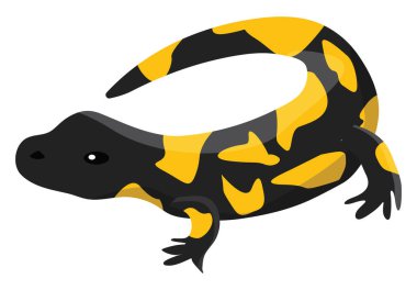 Beyaz arkaplanda ateş semenderi, illüstrasyon, vektör.