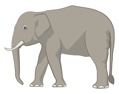 Büyümüş gri fil, illüstrasyon, beyaz arkaplanda vektör.