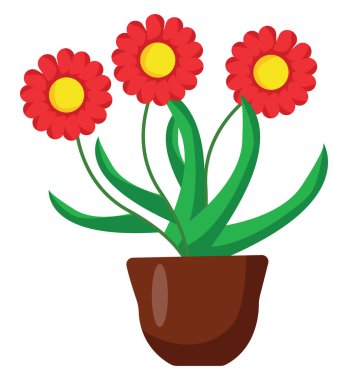 Kahverengi tencerede kırmızı çiçekler, beyaz arkaplanda illüstrasyon, vektör.