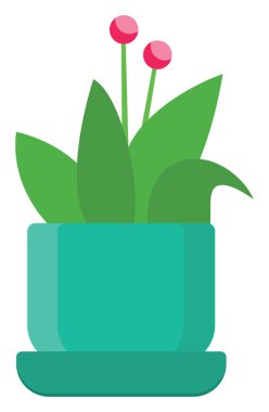 Yeşil kapta çiçekler, illüstrasyon, beyaz arkaplanda vektör.