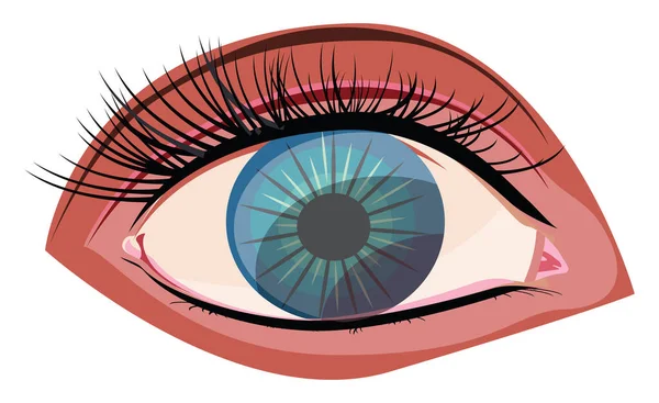Olho Azul Ilustração Vetor Sobre Fundo Branco — Vetor de Stock