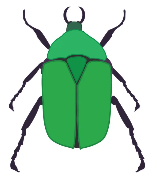 Beyaz Arkaplanda Yeşil Böcek Illüstrasyon Vektör — Stok Vektör