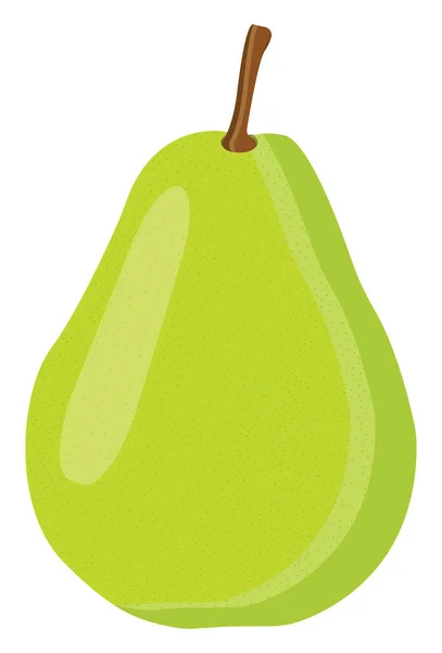 Frutto Pera Verde Illustrazione Vettore Sfondo Bianco — Vettoriale Stock