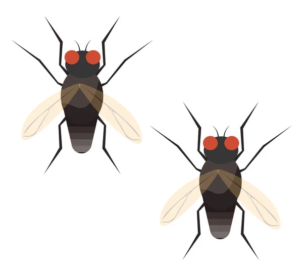 Huis Insecten Illustratie Vector Een Witte Achtergrond — Stockvector