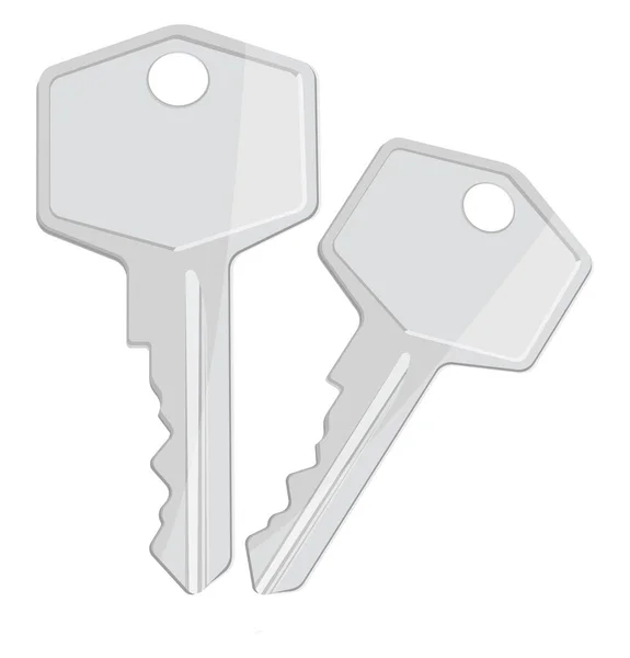 Two Silver Keys Illustration Vector White Background — Stock Vector