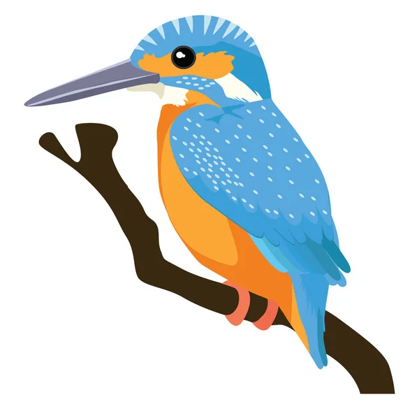 Kingfisher Bird Illustration Vector White Background — Stock Vector