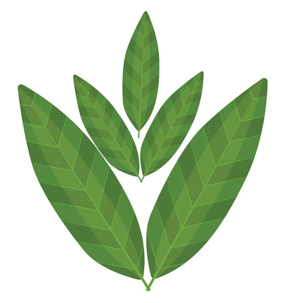 緑の葉 イラスト 白い背景のベクトル — ストックベクタ