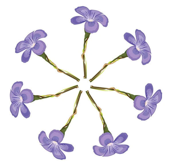Λίλα Λουλούδια Εικονογράφηση Διάνυσμα Λευκό Φόντο — Διανυσματικό Αρχείο