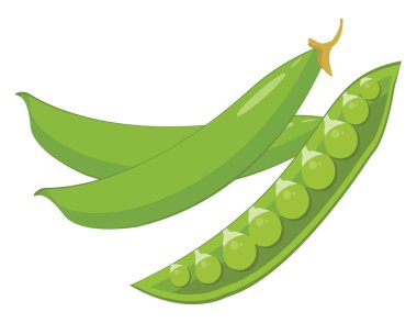 Bezelye bitkisi, illüstrasyon, beyaz arkaplanda vektör.