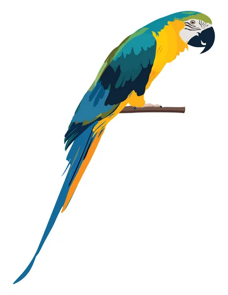 Sprechender Papagei Illustration Vektor Auf Weißem Hintergrund — Stockvektor