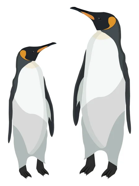 Δύο Πιγκουίνοι Εικονογράφηση Διάνυσμα Λευκό Φόντο — Διανυσματικό Αρχείο