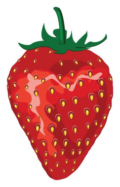 Kırmızı çilek, illüstrasyon, beyaz arkaplanda vektör.