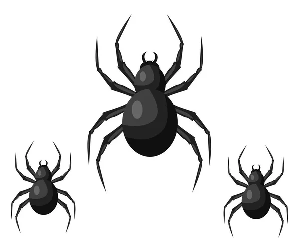 Giftige Spin Illustratie Vector Een Witte Achtergrond — Stockvector