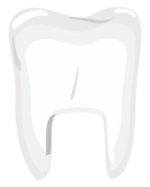健康な白い歯 イラスト 白い背景のベクトル — ストックベクタ