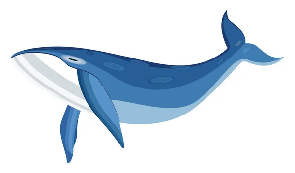 Baleia Azul Ilustração Vetor Sobre Fundo Branco — Vetor de Stock