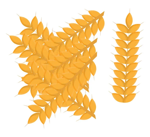 Пшеничное Растение Иллюстрация Вектор Белом Фоне — стоковый вектор