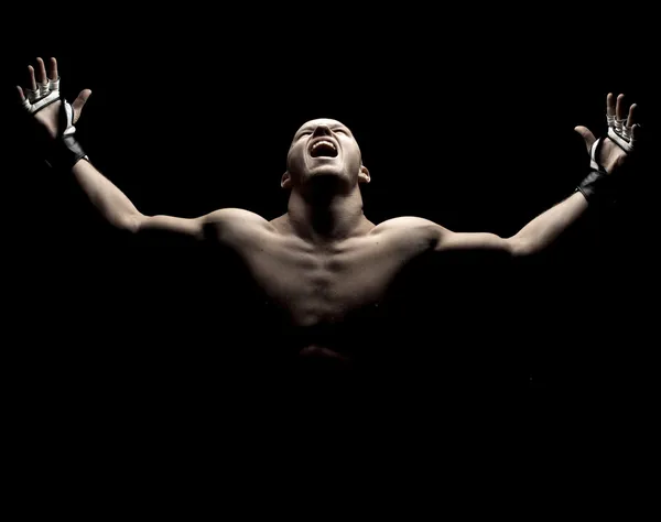 MMA savaşçı