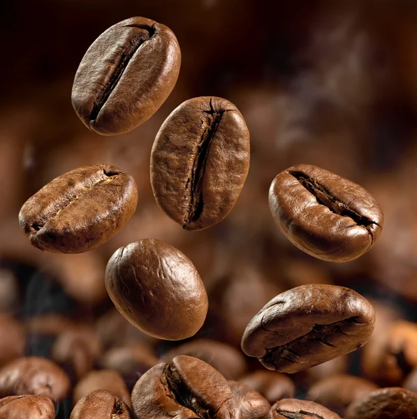 Coffee beans — Stock Photo, Image