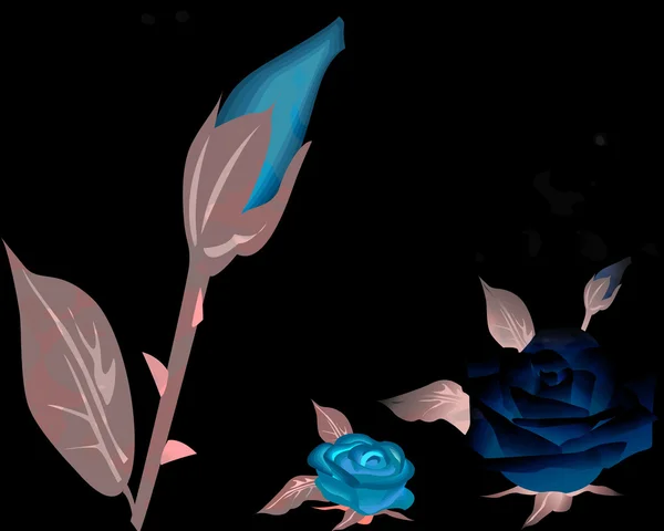 黒の上の青いバラ — ストック写真
