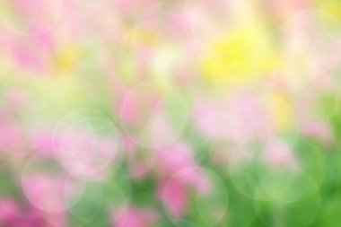 Summer brights,abstract background blur,holiday wallpaper.