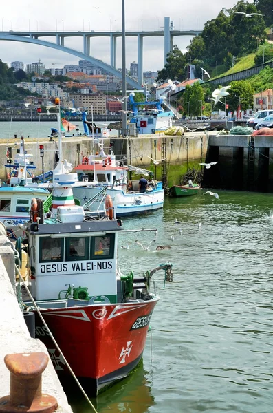 Fiskebåter – stockfoto