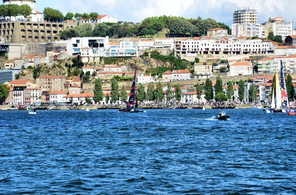 Catamarãs corrida — Fotografia de Stock