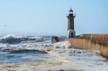 güçlü dalgaların kıyıya vurma