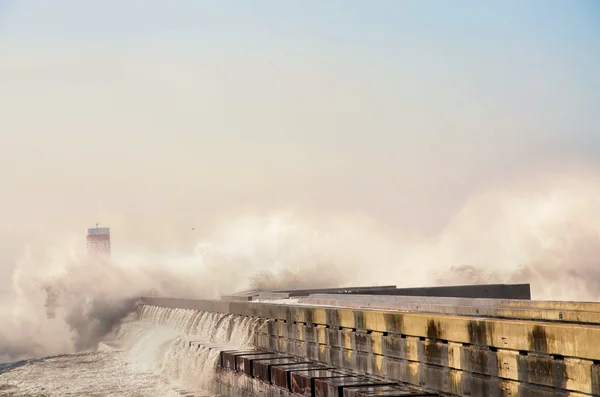 強い波が海岸を打つ — ストック写真