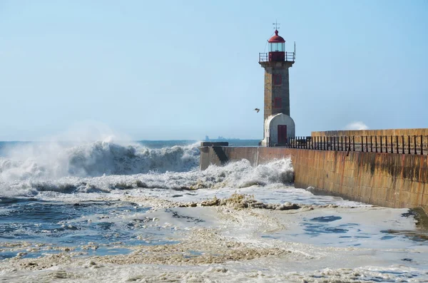 Fuertes olas golpeando la costa —  Fotos de Stock