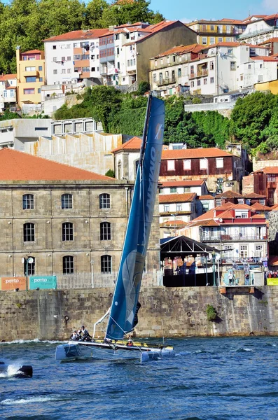 Catamarãs corrida — Fotografia de Stock